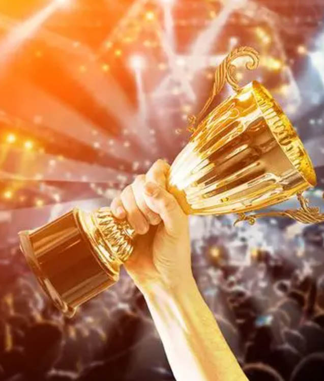 企業(yè)榮譽(yù)